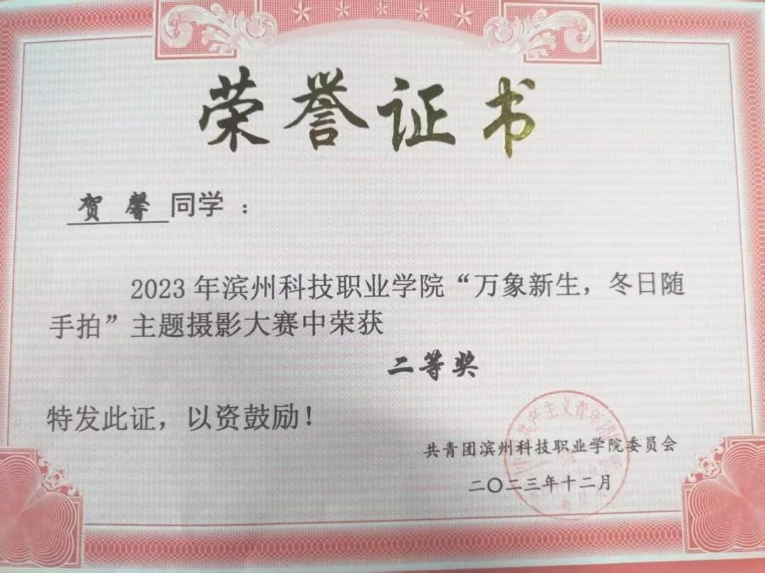 20646